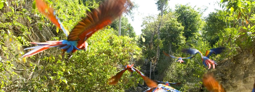 De Riviera Maya : Combo complet au parc Xcaret !