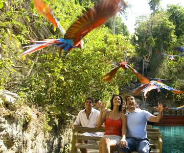 Desde Riviera Maya: ¡Combo Completo al Parque Xcaret!