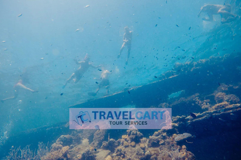 Coron Reef &amp; Wrecks Tour