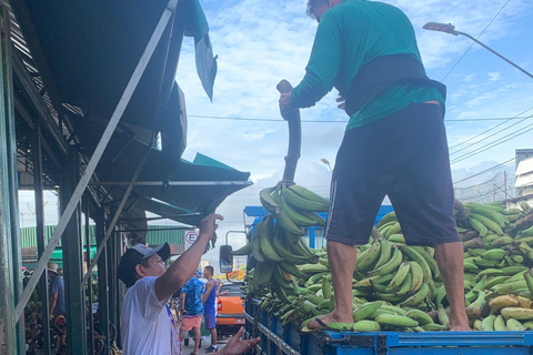 Manaus: Historical City Tour Historical City Tour