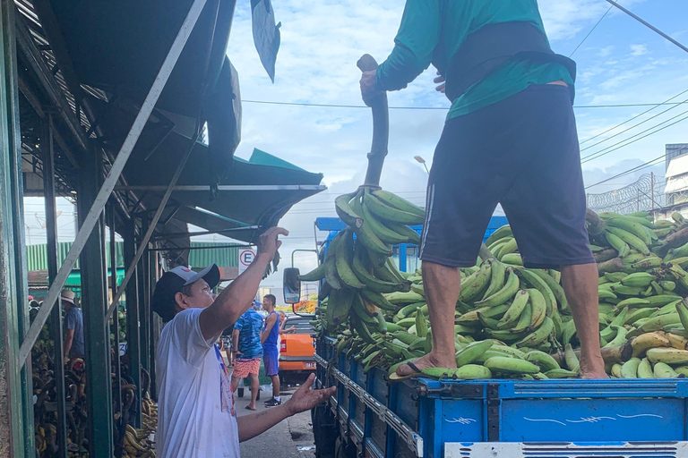 Manaus: Historical City Tour Historical City Tour