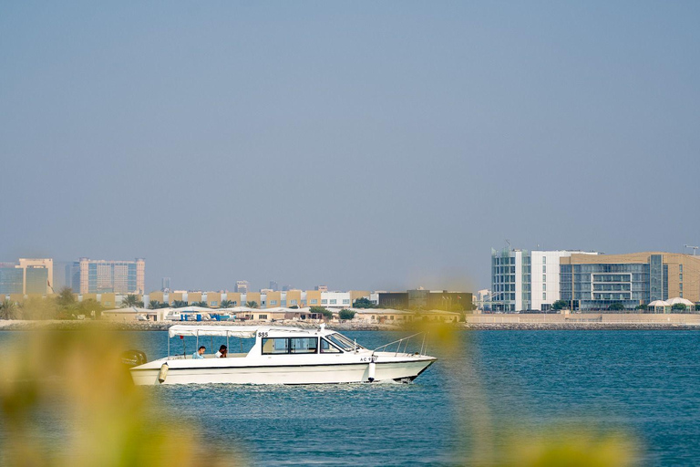 Abu Dhabi: 4-Hour Guided Cruise & Island Hopping