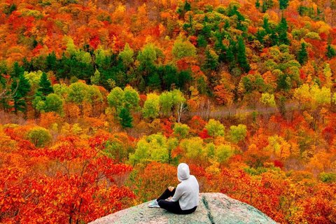 Montreal: Geführte Tour durch die Laurentides