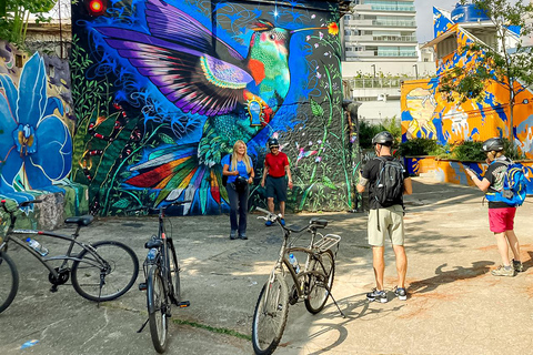 São Paulo - Ibirapuera Park Fahrrad Tour