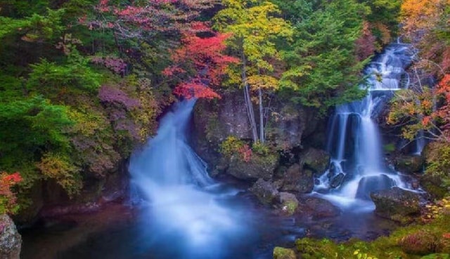 Day Tour Visit to Nikko Toshugo from Tokyo