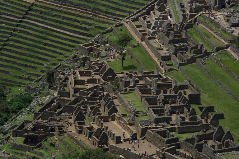 Machu Picchu Day Trip from Cusco Expedition Train by Peru Rail Circuit #3