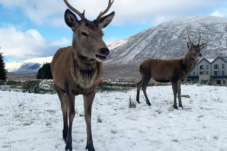 Edimburgo: Excursão de um dia a Glencoe, Glenfinnan e às Terras Altas da EscóciaEdimburgo: Excursão de um dia a Glencoe, Glenfinnan e Terras Altas da Escócia