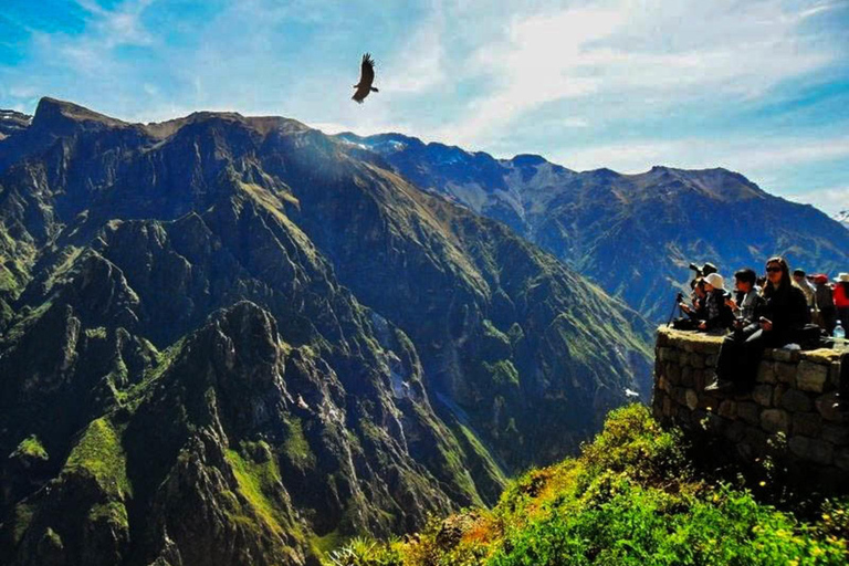 Von Arequipa: Ausflug zum Colca Canyon mit Endstation in Puno