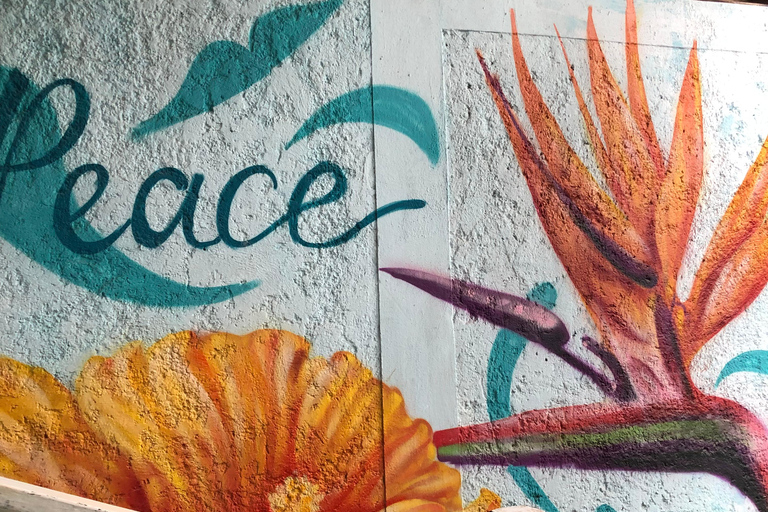 鲍勃·马利九英里之旅（从蒙特哥贝和法尔茅斯出发）鲍勃·马利9英里之旅（从蒙特哥贝和法尔茅斯出发）