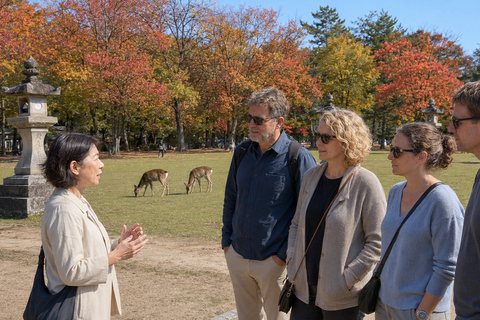 Nara: Autumn Colors, Deer & Historic Park Walk Early Bird 20% Off – Limited Autumn Offer
