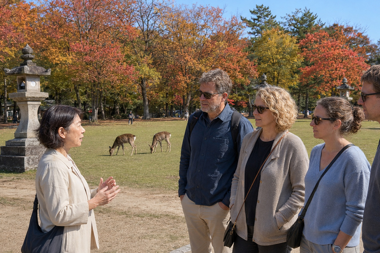 Nara: Autumn Colors, Deer & Historic Park Walk Early Bird 20% Off – Limited Autumn Offer