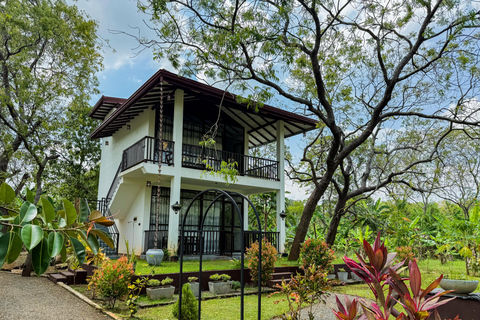 Budget Yala Safari: 1-Night Hostel Stay & Meals Included Afternoon Safari with 1-Night Private Room & Meals