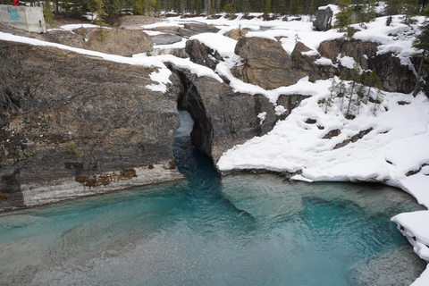 Calgary: Emerald Lake & Takakkaw Falls Small Group Tour