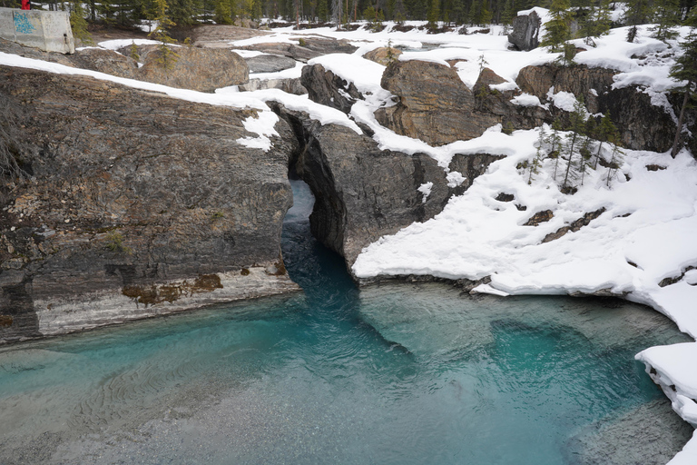 Calgary: Emerald Lake & Takakkaw Falls Small Group Tour
