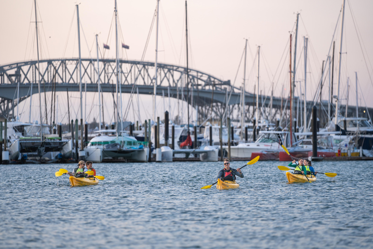 Auckland: Tour notturno in kayak con le luci della città