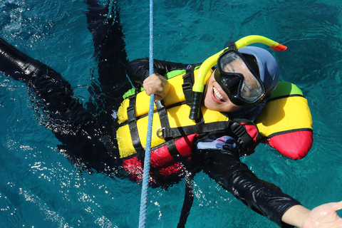 Private Group Snorkeling 3 Gili Islands from Gili Trawangan