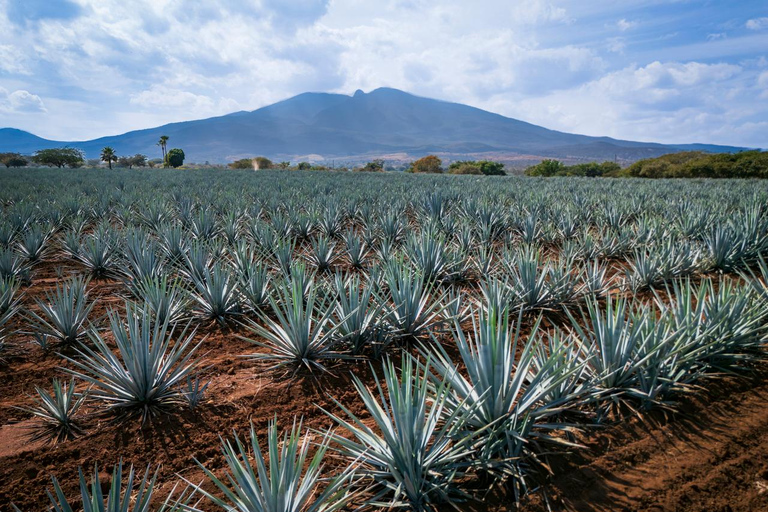 Oaxaca: Horseback Ride, Mezcal Fields & Cooking Class