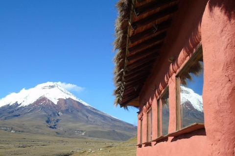 All Included: Cotopaxi Horseback Riding Tour 3 or 4 hours of Horseback Riding Tour
