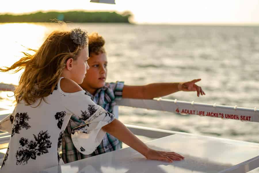 Tampa Bay: 2-stündige Öko-Bootsfahrt mit Tierbeobachtung. Foto: GetYourGuide