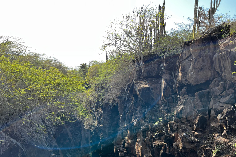Santa Cruz: Snorkeling Sightseeing Tour at Las Grietas and Playa de los Alemanes