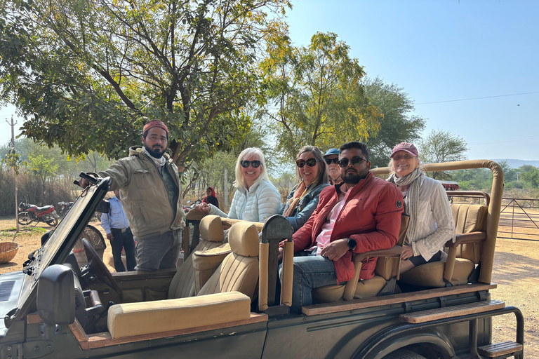 Desde Delhi: Excursión de 4 días al Triángulo de Oro con Safari en TigreRecorrido con hoteles de 5 estrellas.