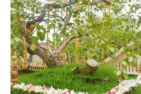 Anuradhapura: Tuk Tuk Tour with Temples & Hidden Stories Standard Package (Budget Option)