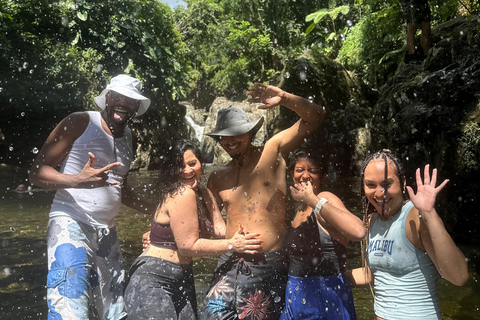 El Yunque Est : Parc aquatique de la forêt tropicale cachéeEl Yunque Est : Parc aquatique de la forêt tropicale cachée (CONDUISEZ-VOUS-MÊME)