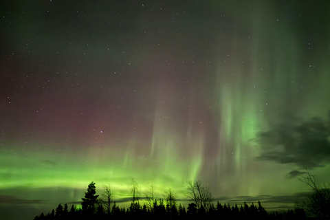Rovaniemi: Guaranteed Aurora Tour with 96% Succes rate Default