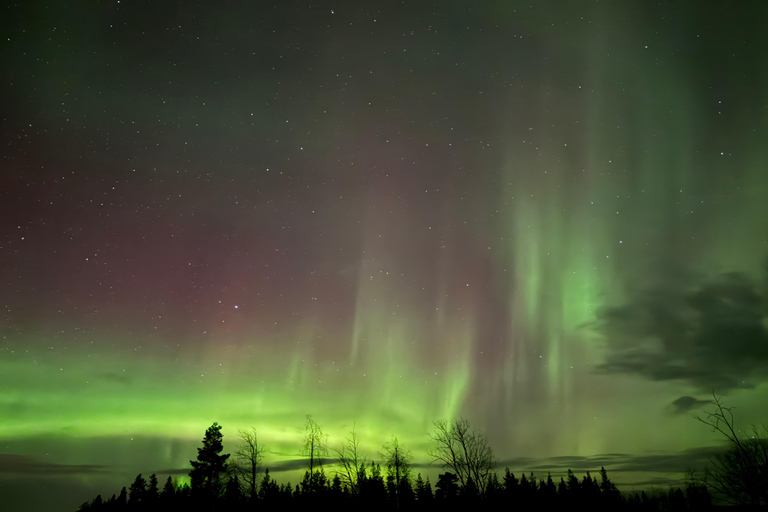 Rovaniemi: Guaranteed Aurora Tour with 96% Succes rate Default