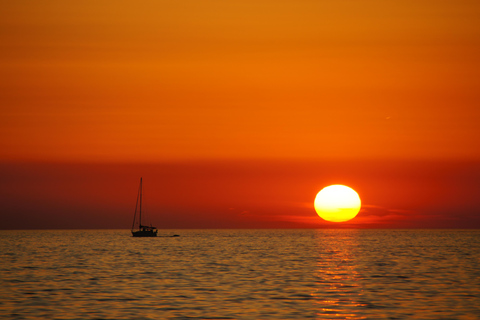 Medulin: 3h Ultra ALL-INCLUSIVE Sunset Dolphin Boat trip 3hours Dolphin Sunset watching with drinks+dinner sandraboat