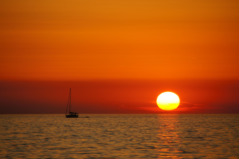 Medulin: 3h Ultra ALL-INCLUSIVE Sunset Dolphin Boat trip 3hours Dolphin Sunset watching with drinks+dinner sandraboat