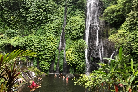Munduk : Nord de Bali, le meilleur circuit et les chutes d'eau les mieux cachéesTransfert depuis la région de Munduk || Visite privée