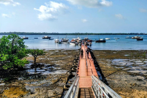 迪亚尼：Kisite 私人游船之旅（含浮潜和午餐）团体加入浮潜活动