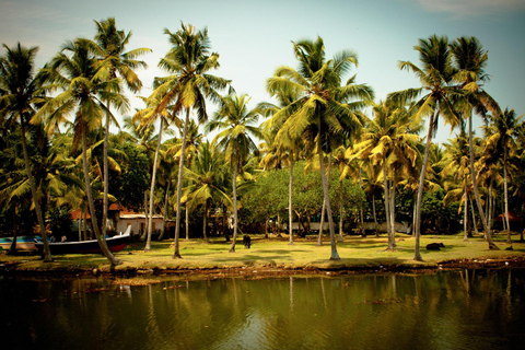 Fort Kochi Day Tour with Dutch Palace from Cochin