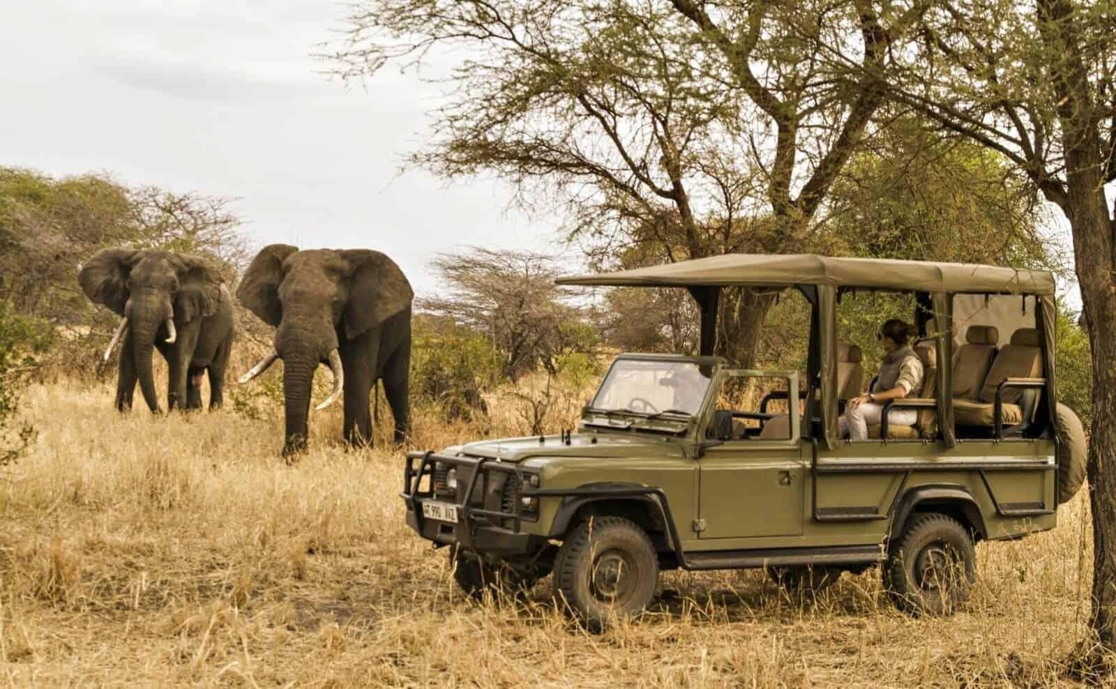 Richards Bay: Hluhluwe Imfolozi Game Reserve Halbtagestour
