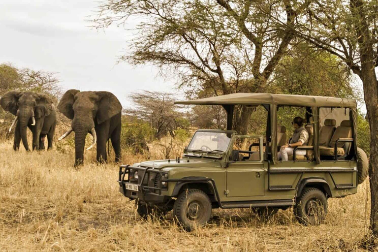 Von Kapstadt aus: 12-tägige, faszinierende Tour nach Johannesburg