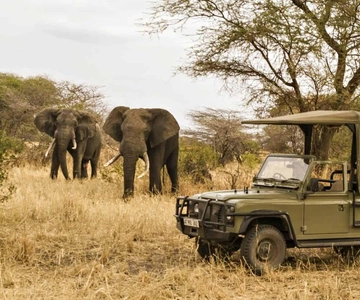 Richards Bay: Hluhluwe Imfolozi Game Reserve Half-Day Tour