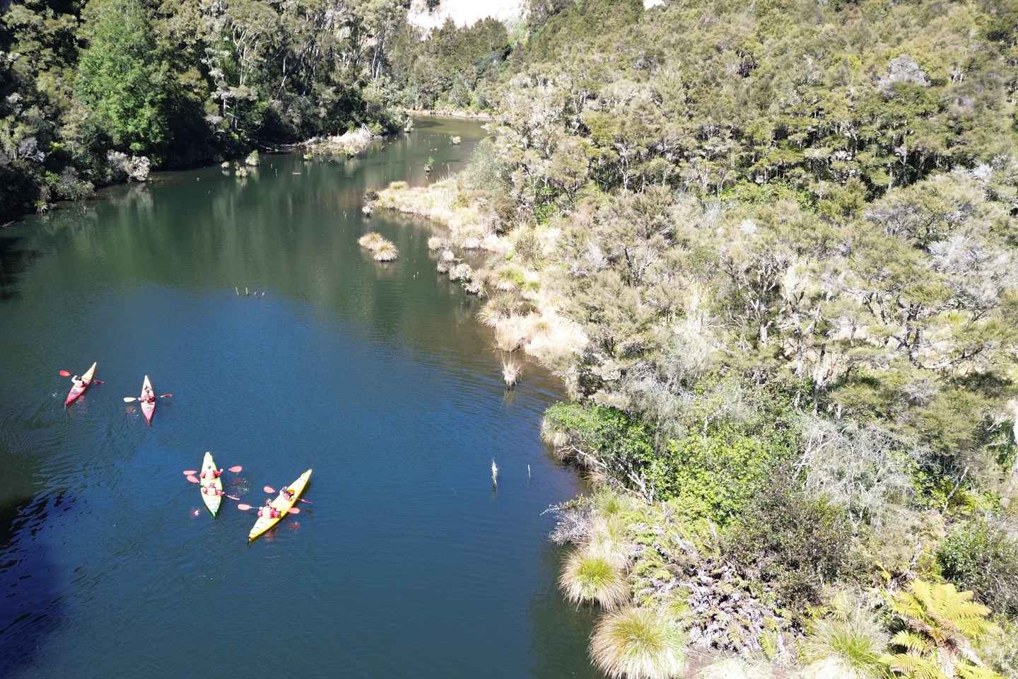 Taup?: Hidden Lake Kayak Tour with Sunken Forest Views - Taupō: Hidden Lake Kayak Tour with Sunken Forest Views