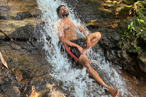 Colombo: Tour delle piantagioni di tè e delle tenute di gomma con pranzo