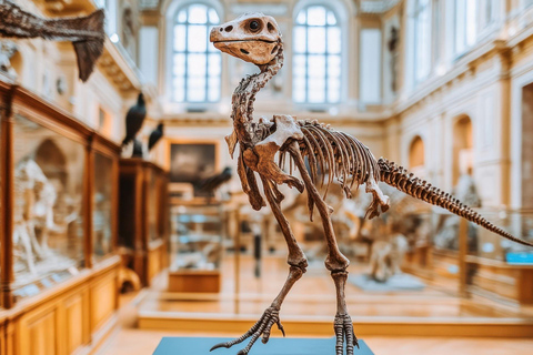 Museum of Zoology Sao Paulo Private Guided Tour & Transport 2-hour: Museum of Zoology Tour