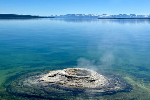 Private Sunset Safari of Grand Teton National Park Grand Teton Wildlife Safari and Scenic Highlights Tour