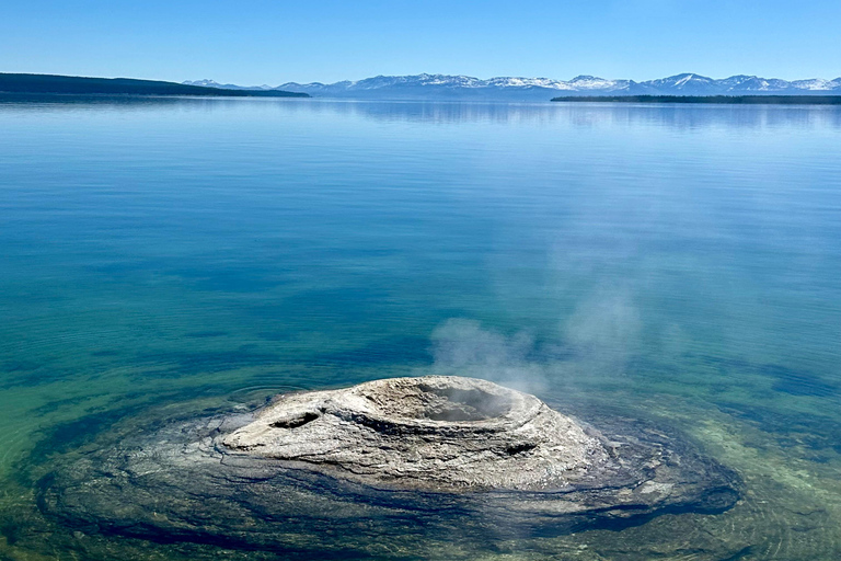 Private Sunset Safari of Grand Teton National Park Grand Teton Wildlife Safari and Scenic Highlights Tour