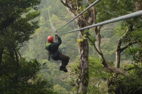 Nyungwe Forest: Zipline Adventure and Canopy Walkway