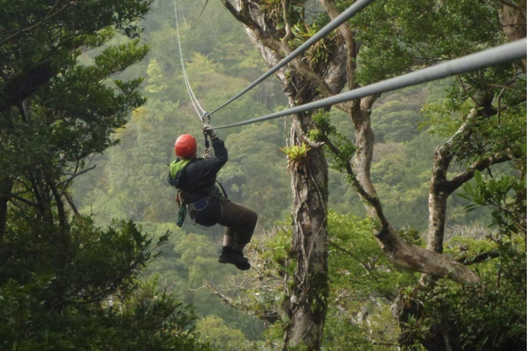 Nyungwe Forest: Zipline Adventure and Canopy Walkway