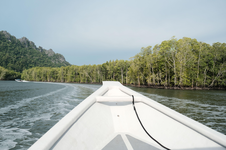 Langkawi : visite privée de 2 heures dans la mangrove avec transfert depuis l&#039;hôtelGroupe de 6 personnes (par bateau)