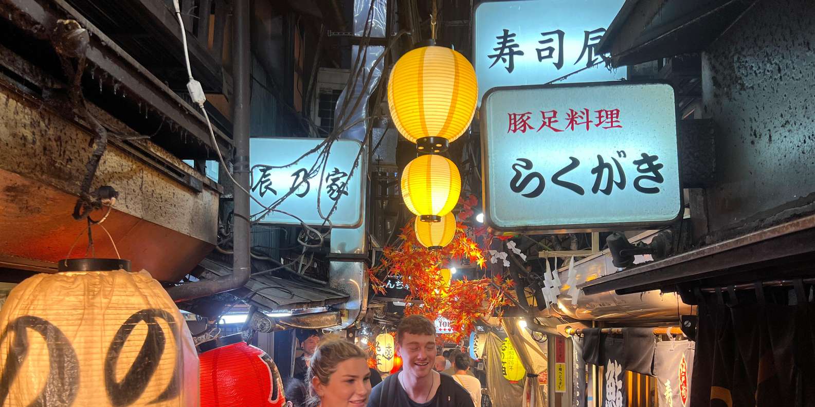Shinjuku food tour — Japanese street food and eateries — image 8