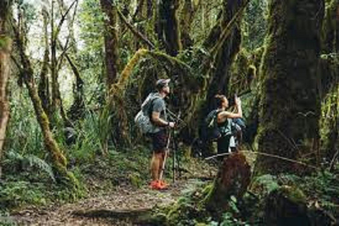 Marangu Trekking-Kilimanjaro Route Tour de 1 diaTour de 1 dia pela Rota Marangu do Kilimanjaro