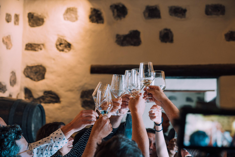 Lanzarote: Tour por viñedo al atardecer con cata vinos y chocolate