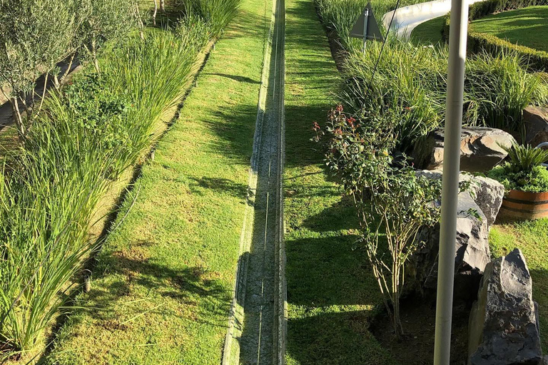 Kaapstad: Cool Running/Toboggan Adventure en ophaalservice vanaf je hotelKaapstad: Cool Running/Toboggan-avontuur en ophaalservice vanaf je hotel