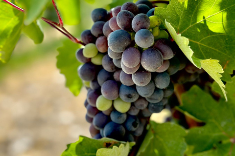 Strada del vino attorno al “Vaticano armeno”